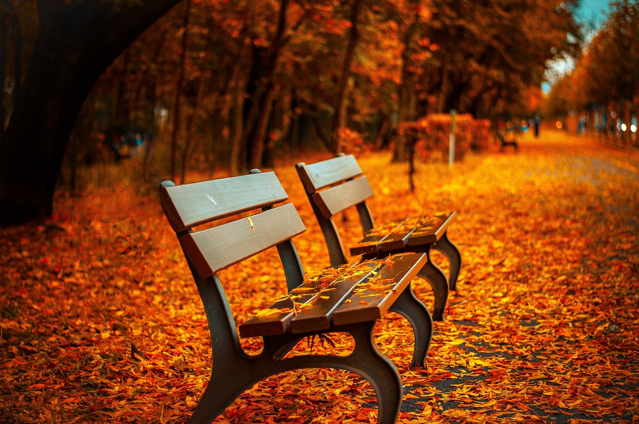 Fall Giveaway Ideas